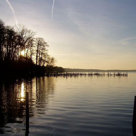 Ferienwohnungen Am Werbellinsee 施沃费德 外观 照片