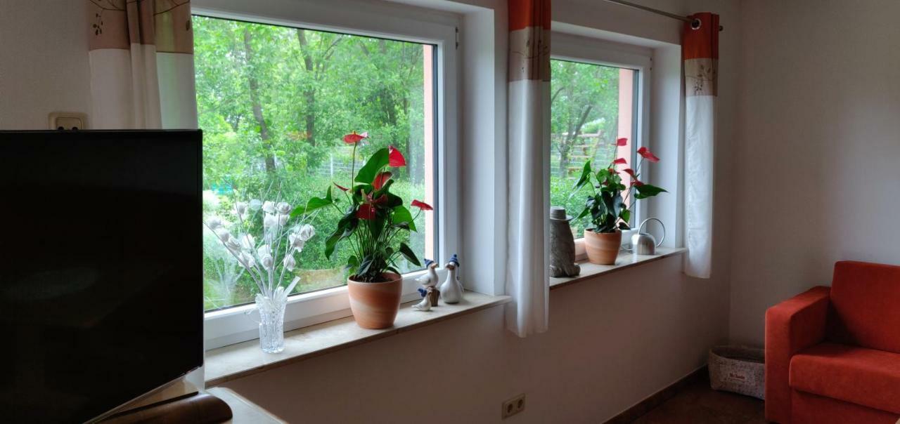 Ferienwohnungen Am Werbellinsee 施沃费德 外观 照片